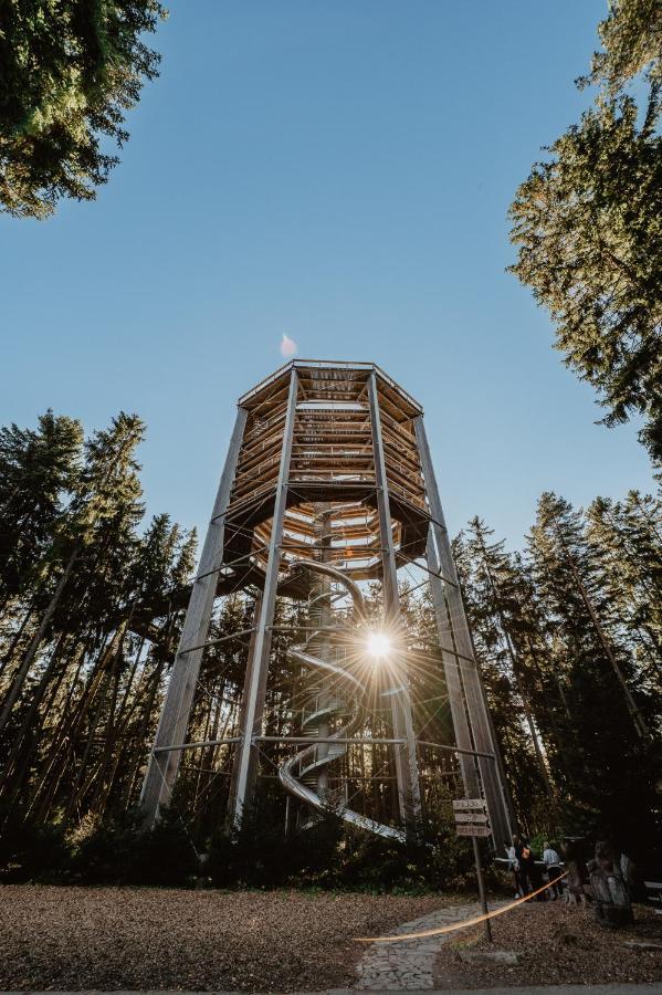 Lipno Nad Vltavou - Apartman 23 - Wifi, Parking, Netflix Экстерьер фото